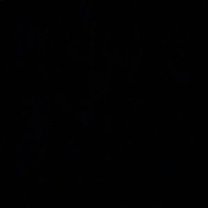 Meet your Posher, Eva